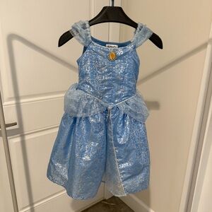 Disney Sparkling Blue and Silver Princess Costume